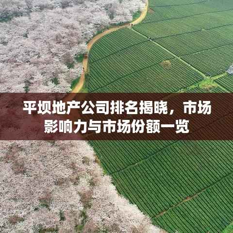 平坝地产公司排名揭晓,市场影响力与市场份额一览