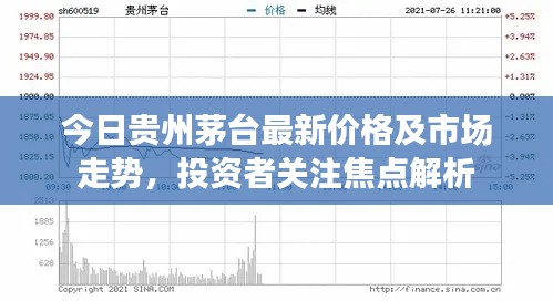 今日贵州茅台最新价格及市场走势,投资者关注焦点解析