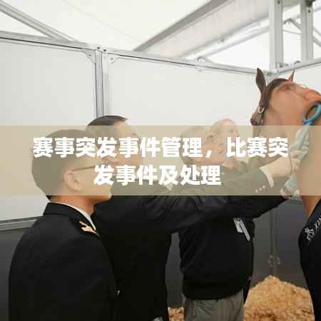 赛事突发事件管理,比赛突发事件及处理