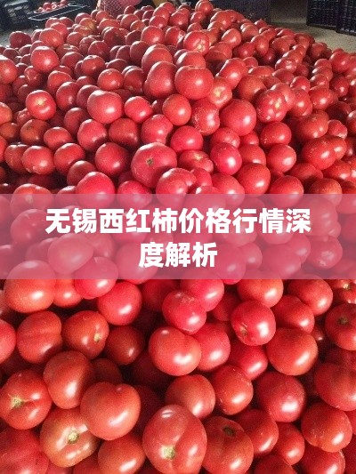 无锡西红柿价格行情深度解析