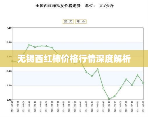 无锡西红柿价格行情深度解析