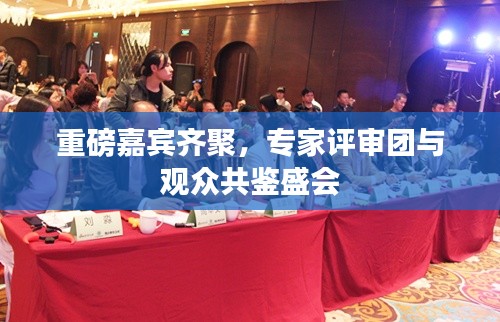 重磅嘉宾齐聚,专家评审团与观众共鉴盛会