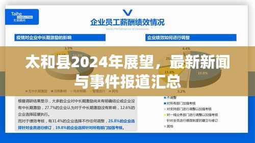 太和县2024年展望,最新新闻与事件报道汇总