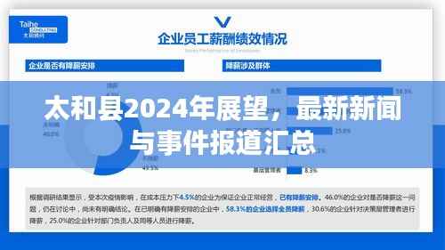 太和县2024年展望,最新新闻与事件报道汇总