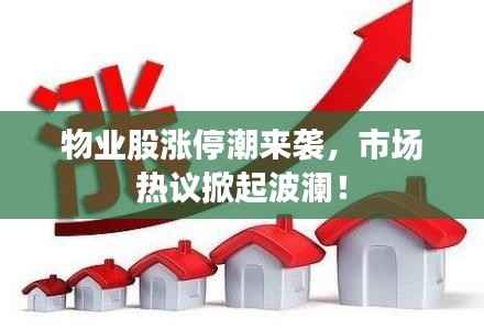 钝学累功 第3页