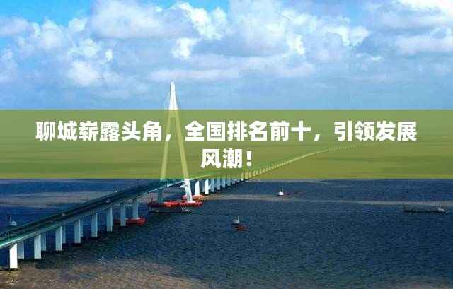 聊城崭露头角,全国排名前十,引领发展风潮!