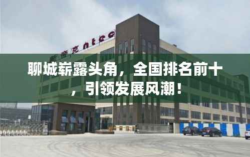 聊城崭露头角,全国排名前十,引领发展风潮!