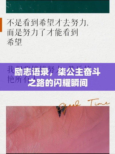 励志语录,柒公主奋斗之路的闪耀瞬间