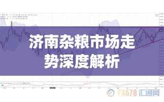 济南杂粮市场走势深度解析