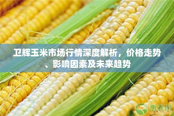 博古通今 第3页