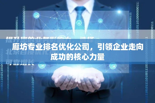廊坊专业排名优化公司,引领企业走向成功的核心力量