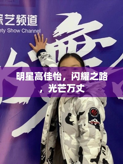 明星高佳怡,闪耀之路,光芒万丈