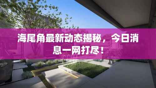 海尾角最新动态揭秘,今日消息一网打尽!