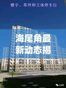 海尾角最新动态揭秘,今日消息一网打尽!