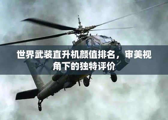 世界武装直升机颜值排名,审美视角下的独特评价
