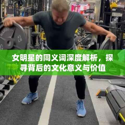 女明星的同义词深度解析,探寻背后的文化意义与价值