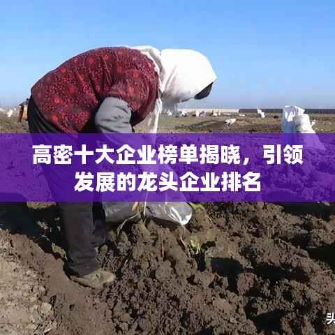 高密十大企业榜单揭晓,引领发展的龙头企业排名