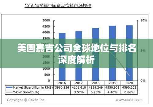 美国嘉吉公司全球地位与排名深度解析