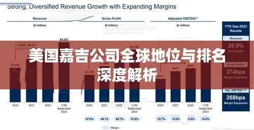 美国嘉吉公司全球地位与排名深度解析