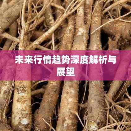 风韵犹存 第3页