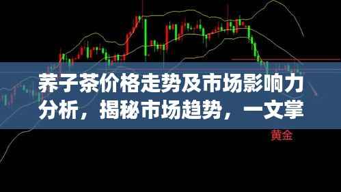 荞子茶价格走势及市场影响力分析,揭秘市场趋势,一文掌握行业风向标!