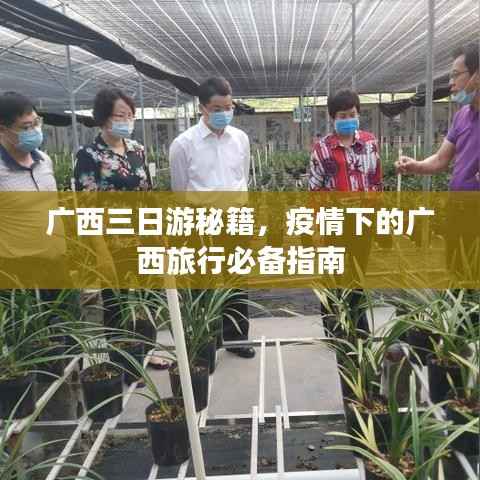 广西三日游秘籍,疫情下的广西旅行必备指南