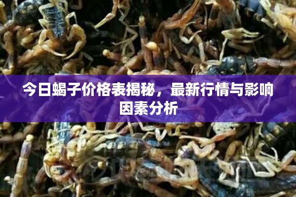 今日蝎子价格表揭秘,最新行情与影响因素分析