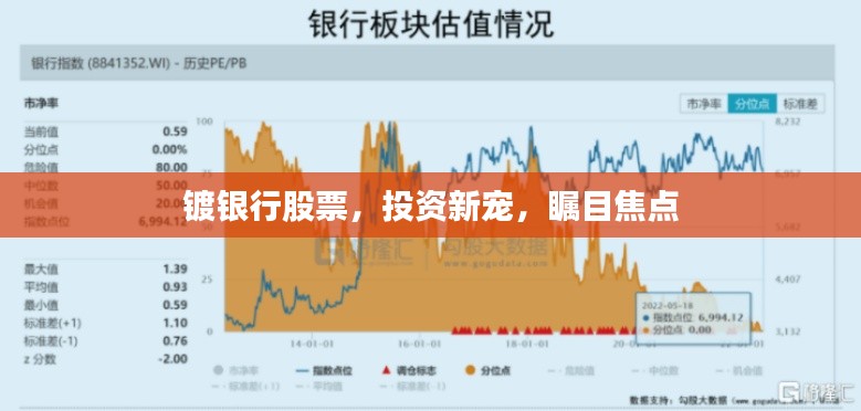 镀银行股票,投资新宠,瞩目焦点