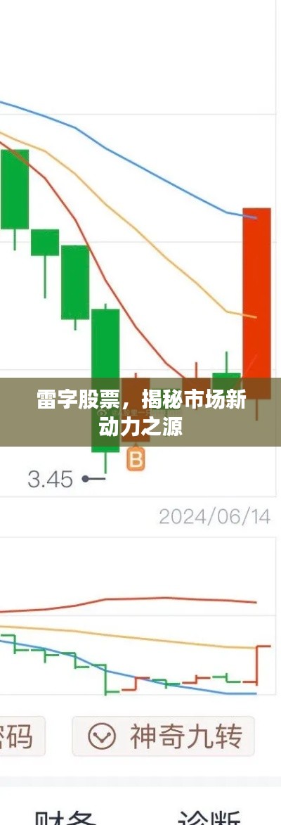 雷字股票,揭秘市场新动力之源
