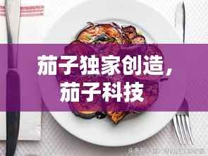 茄子独家创造,茄子科技