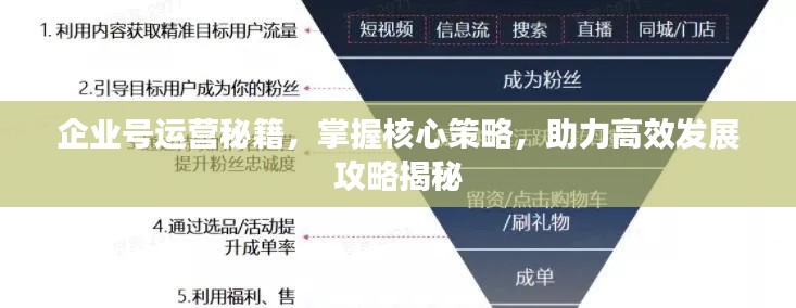 企业号运营秘籍,掌握核心策略,助力高效发展攻略揭秘