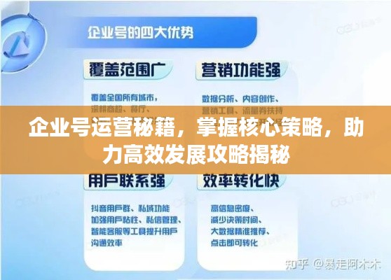 企业号运营秘籍,掌握核心策略,助力高效发展攻略揭秘