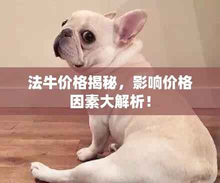法牛价格揭秘,影响价格因素大解析!