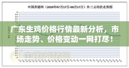 广东生鸡价格行情最新分析,市场走势、价格变动一网打尽!