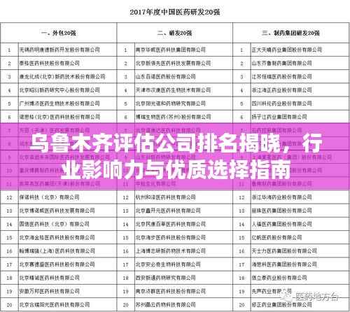 乌鲁木齐评估公司排名揭晓,行业影响力与优质选择指南