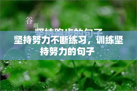 坚持努力不断练习,训练坚持努力的句子