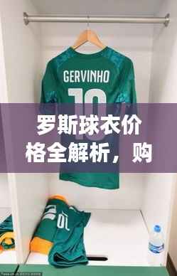 罗斯球衣价格全解析,购买指南与热门推荐