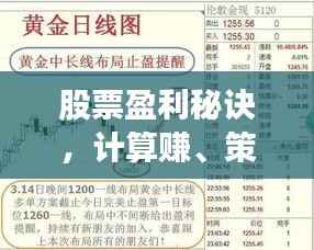 股票盈利秘诀,计算赚、策略制胜与智慧投资之道