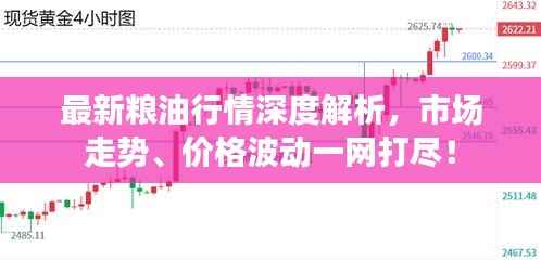 最新粮油行情深度解析,市场走势、价格波动一网打尽!