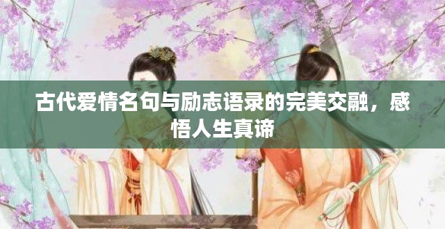 古代爱情名句与励志语录的完美交融,感悟人生真谛
