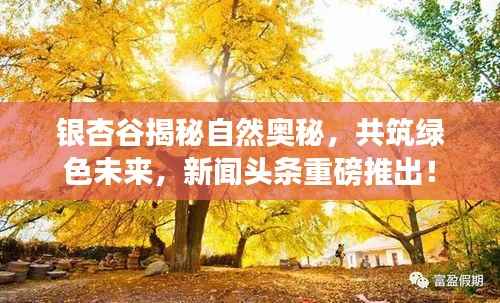 银杏谷揭秘自然奥秘,共筑绿色未来,新闻头条重磅推出!