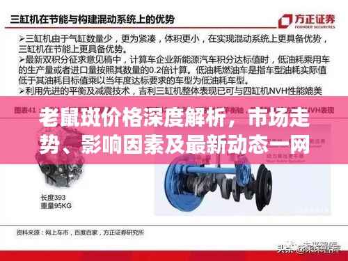 老鼠斑价格深度解析,市场走势、影响因素及最新动态一网打尽!