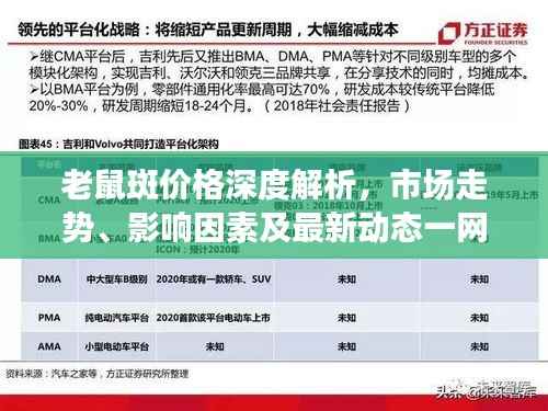 老鼠斑价格深度解析,市场走势、影响因素及最新动态一网打尽!