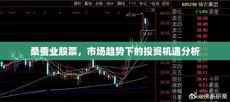 桑蚕业股票,市场趋势下的投资机遇分析