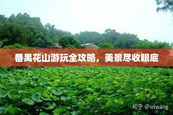 番禺花山游玩全攻略,美景尽收眼底