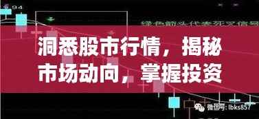 洞悉股市行情,揭秘市场动向,掌握投资机会