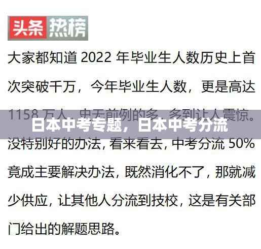 日本中考专题,日本中考分流