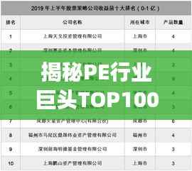 揭秘PE行业巨头TOP100榜单,私募股权领域的探索与洞察