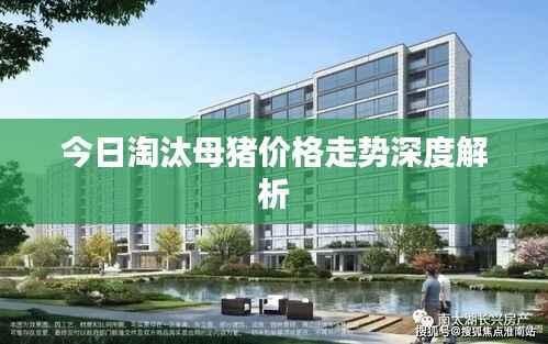 今日淘汰母猪价格走势深度解析