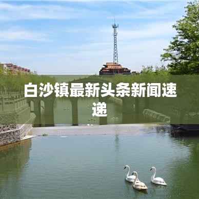 白沙镇最新头条新闻速递